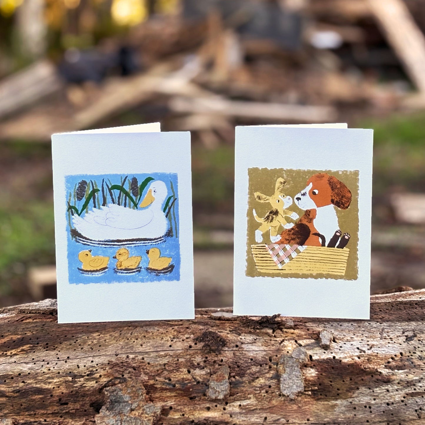 Duck and Ducklings by Meg Rennie